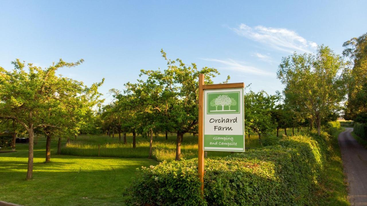 Orchard Farm Luxury Glamping And Campsite Glastonbury Exterior foto