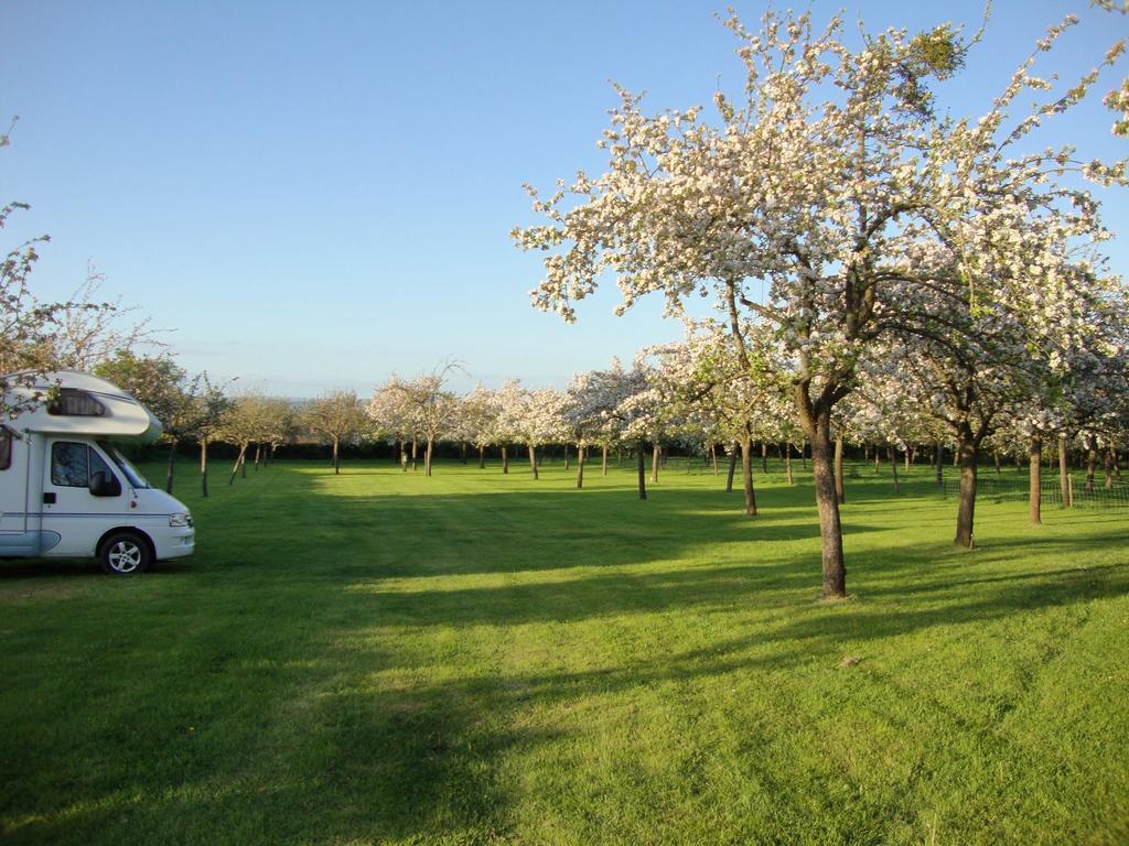 Orchard Farm Luxury Glamping And Campsite Glastonbury Exterior foto