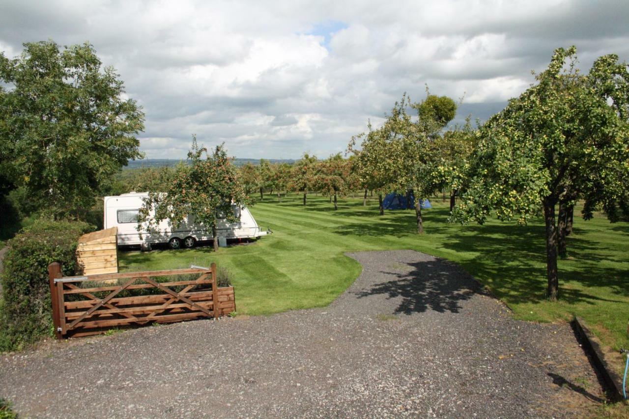 Orchard Farm Luxury Glamping And Campsite Glastonbury Exterior foto